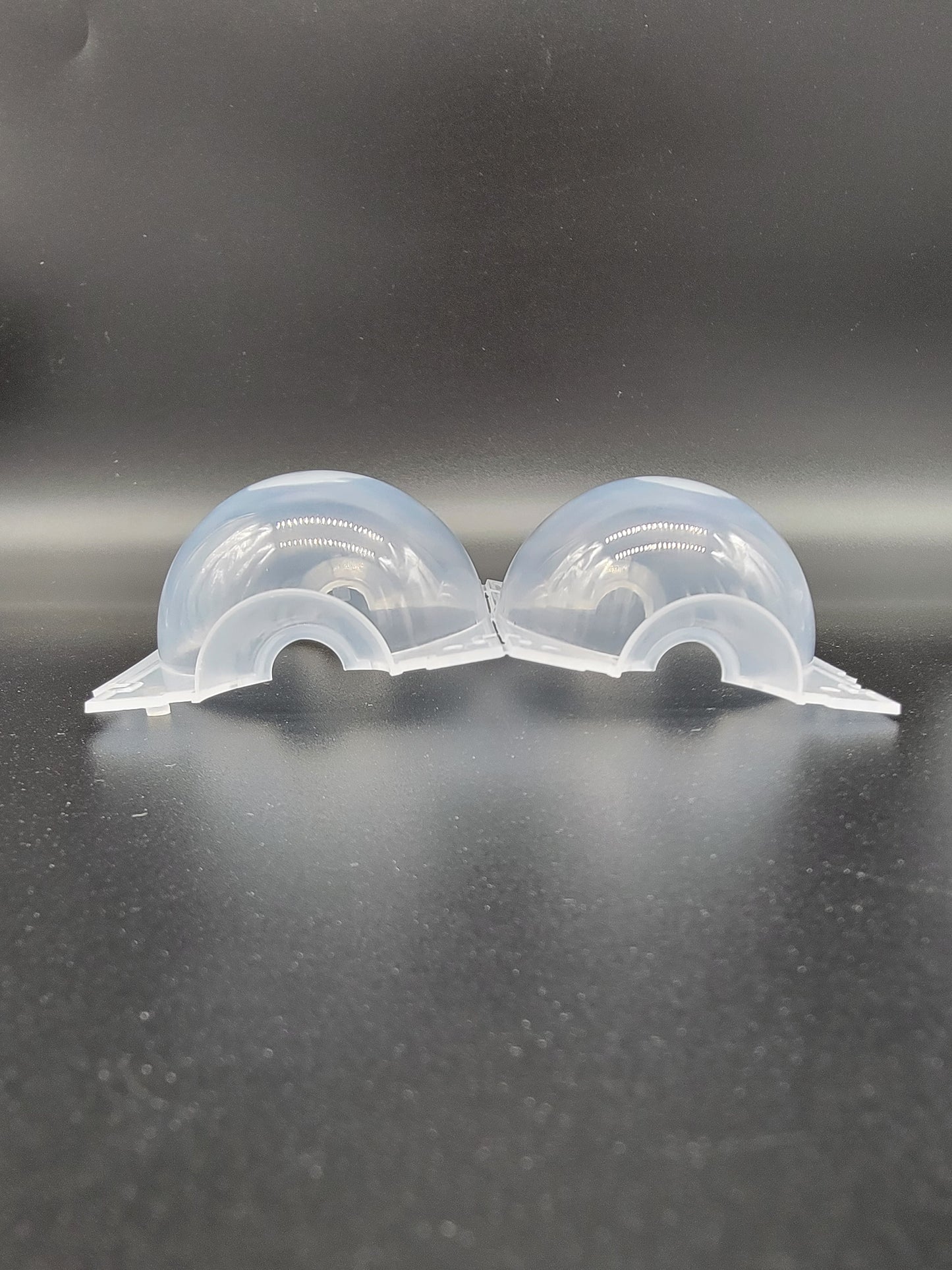 Transparent Rooting Ball