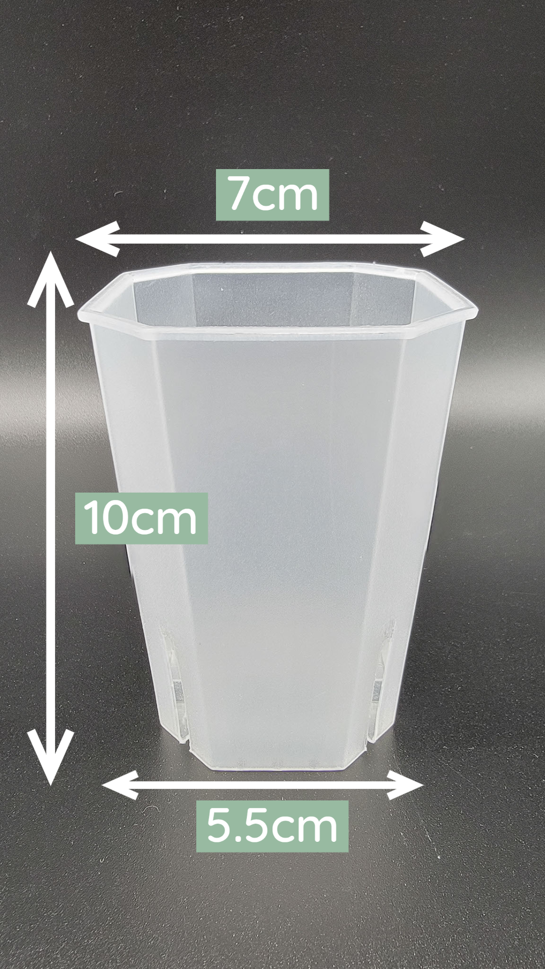 3" Translucent Square Pot - Sturdy and Reusable