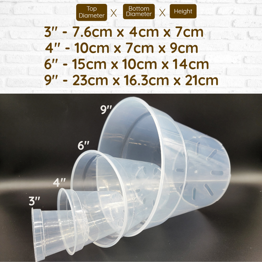 Transparent Pot Various sizes - Sturdy and Reusable