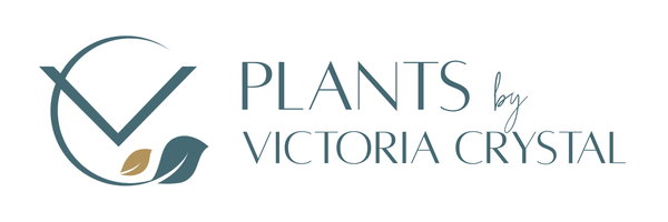 Plants by Victoria Crystal