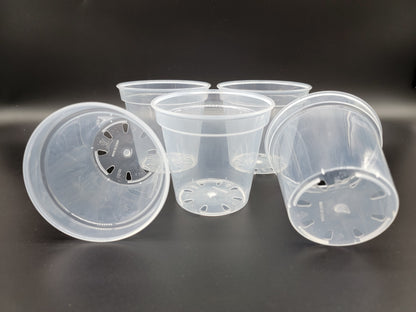 Transparent Pot Various sizes - Sturdy and Reusable