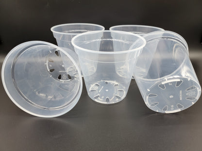 Transparent Pot Various sizes - Sturdy and Reusable