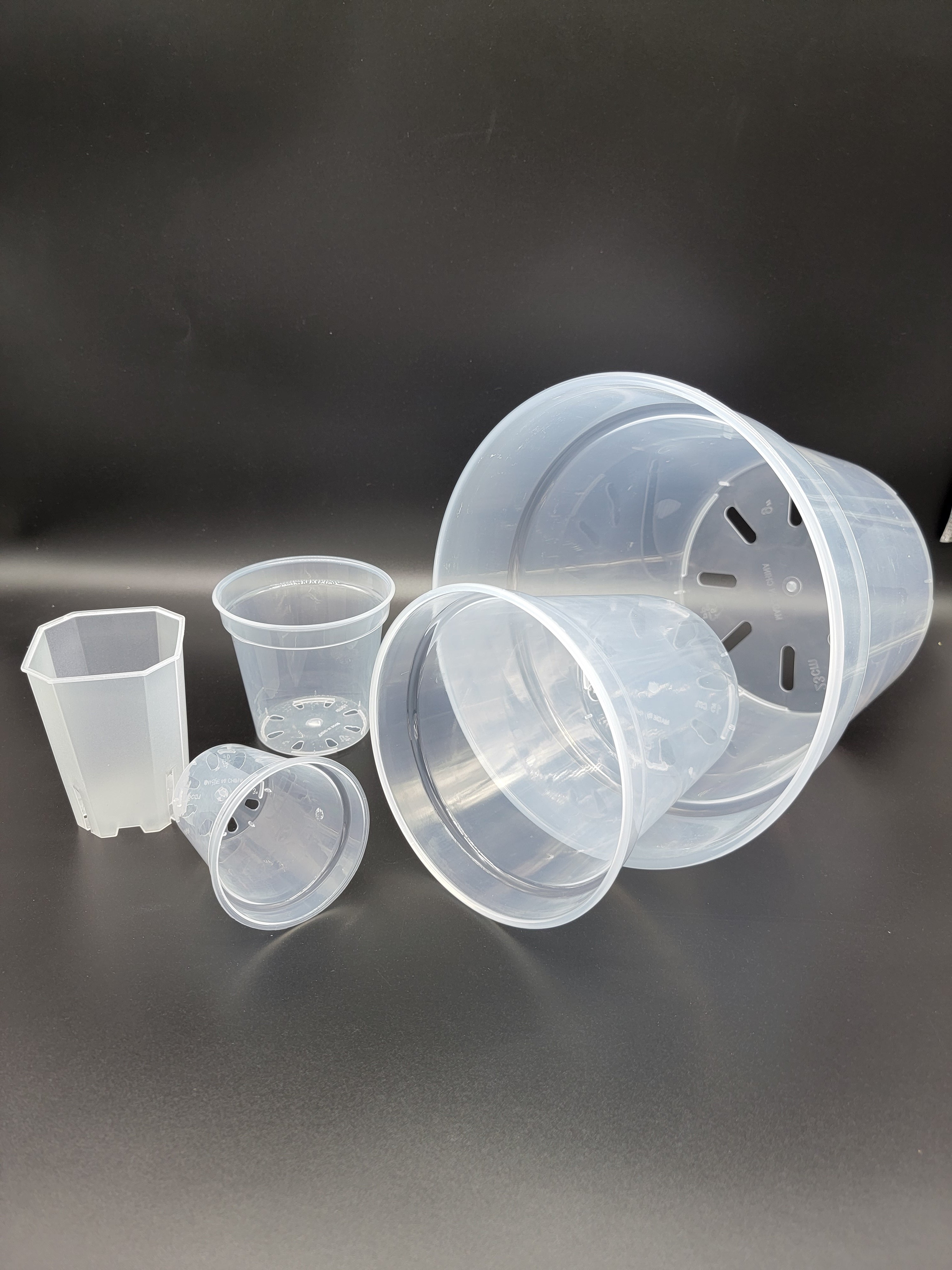 Transparent Sample Pot Transparent Pot Various sizes - Sturdy and Reusable – Plants by ...
